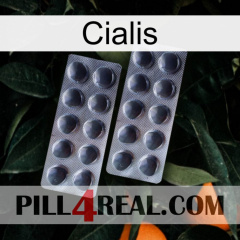 Cialis 31